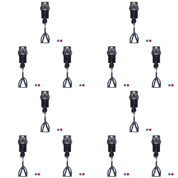 48pc Pawsnclaws Stretchy Pet Lead & Harness Dog Outdoor Walking Leash Asst