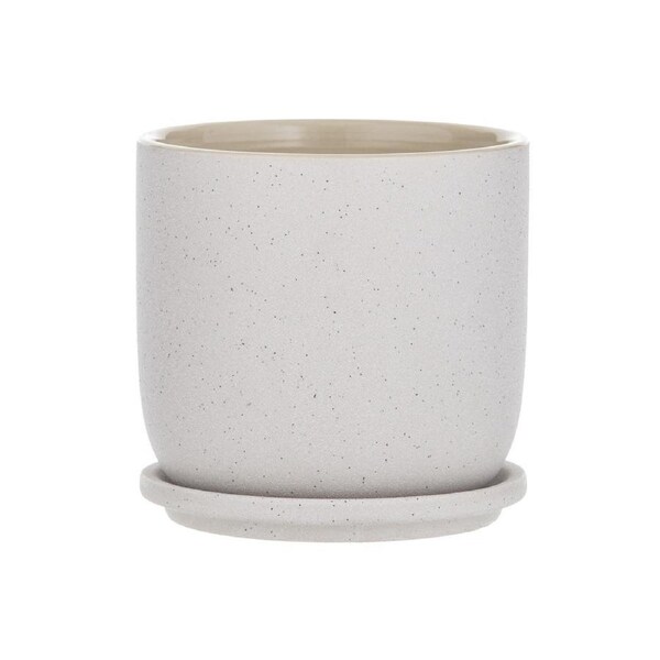 Rogue Laelia Pot 15cm Cream