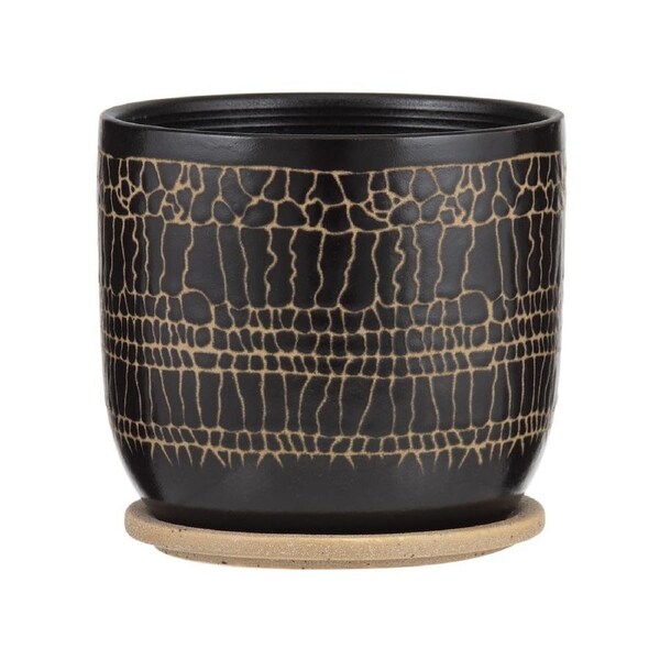 Rogue Vayzen Pot 19cm Black