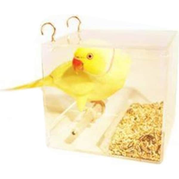 SeedMate Home Garden/Outdoor Acrylic Hanging Bird/Animal Feeder Small Clear