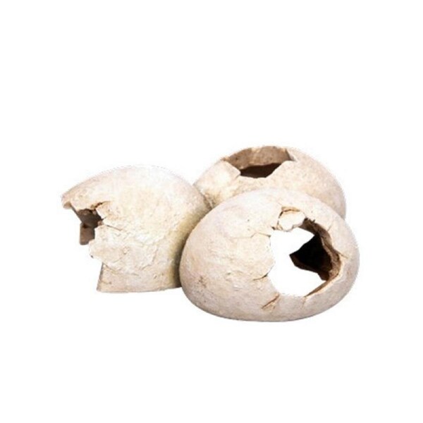 Aqua One Dinosaur Eggs Ornament 15.5x12.5x6cm (37385)