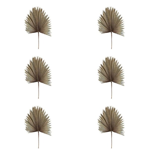 6x Belle Preserved Palm Leaf Dried Plant Home Display Decor Large 114cm Grey BLU