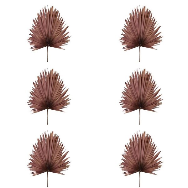 6x Belle Preserved Palm Leaf Dried Plant Home Display Decor Large 114cm Pink