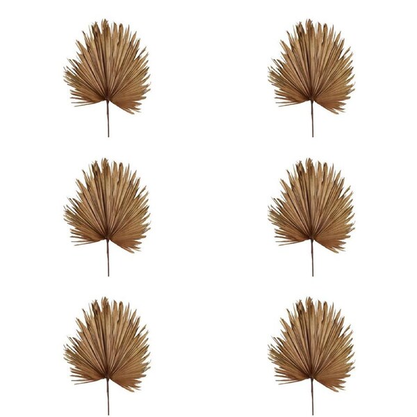 6x Belle Preserved Palm Leaf Home/Room Decorative Display Large 114cm Brown