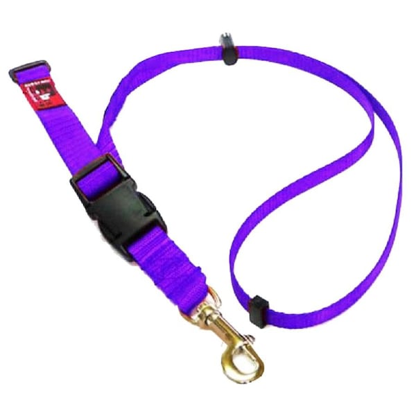Black Dog Adjustable Grooming Loop for Dogs Purple