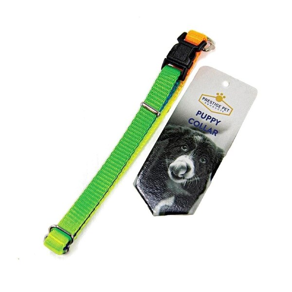 Prestige Pet 3/8" Adjustable Puppy Collar Rainbow 9-14" 23-36cm