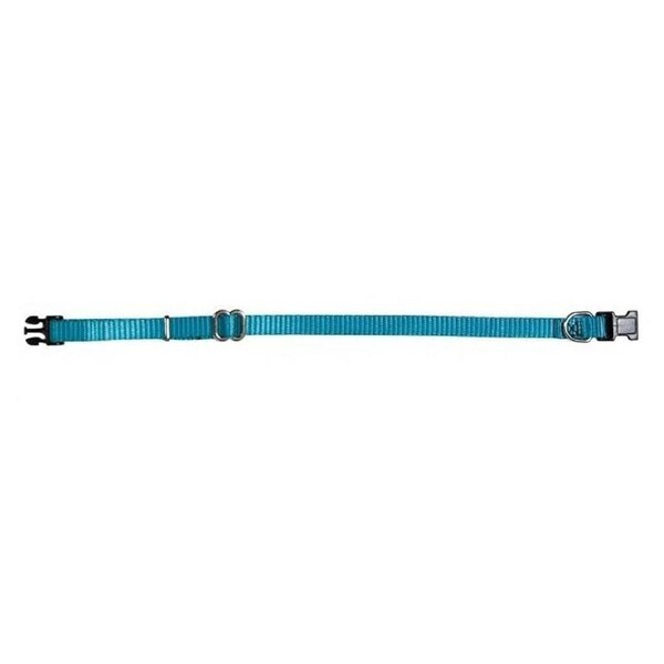 Prestige Pet 1 Inch Adjustable Nylon Dog Collar Turquoise 41-71cm