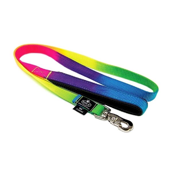Prestige Pet Soft Padded Nylon Dog Leash Rainbow 3/4 x 4' 122cm