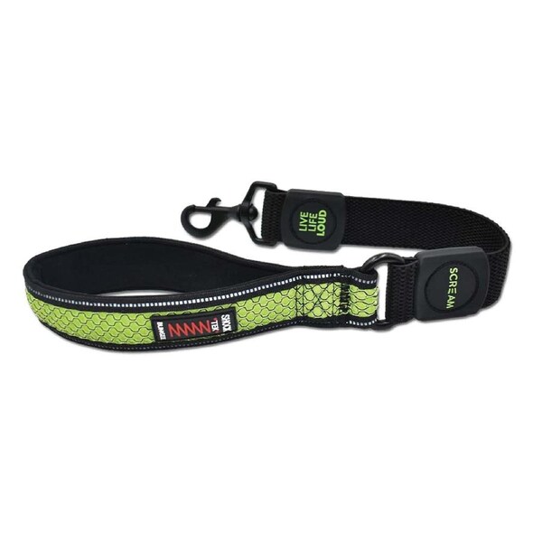 Scream Reflective Bungee Leash w/ Padded Handle for Dogs Loud Green 3.8 x 55cm