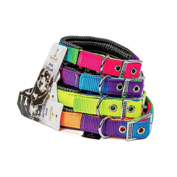 Prestige Pet Soft Padded Nylon Dog Collar Rainbow 3/4 x 20" 51cm
