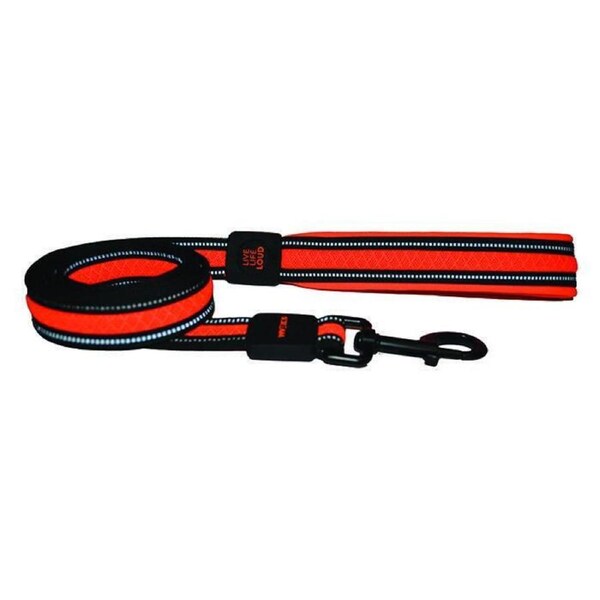 Scream Reflective Padded Dog Leash Loud Orange 2.5 x 120cm