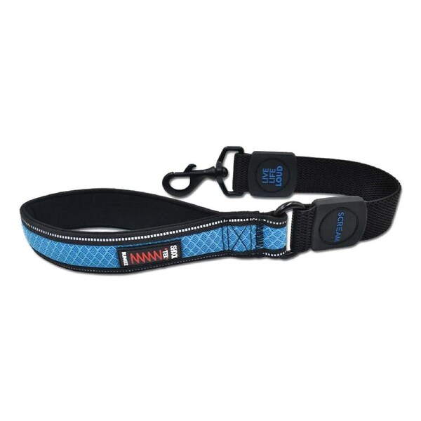 Scream Reflective Bungee Leash w/ Padded Handle for Dogs Loud Blue 3.8 x 55cm