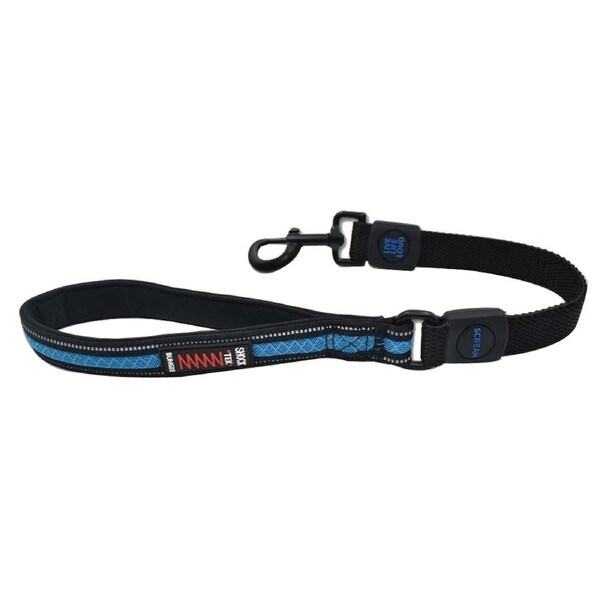 Scream Reflective Bungee Leash w/ Padded Handle for Dogs Loud Blue 2.5 x 55cm