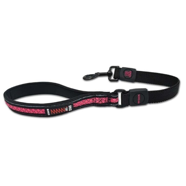 Scream Reflective Bungee Leash w/ Padded Handle for Dogs Loud Pink 2.5 x 55cm