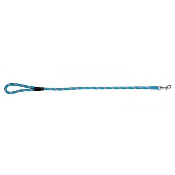 Prestige Pet Mountain Nylon Dog Leash Turquoise 13mm x 183cm