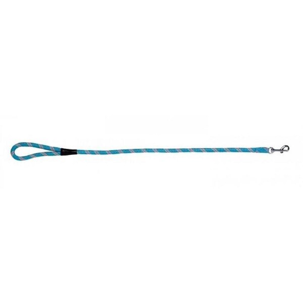 Prestige Pet Mountain Nylon Dog Leash Turquoise 13mm x 122cm