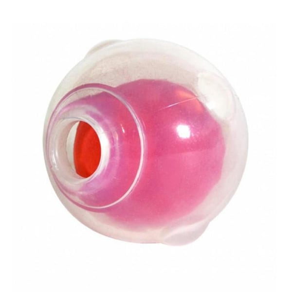 Chase N Chomp Amazing Squeaker Ball Dog Toy Regular 2.5 Inch