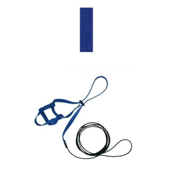 The Aviator Bird Safety Harness & Leash w/ DVD Blue Small