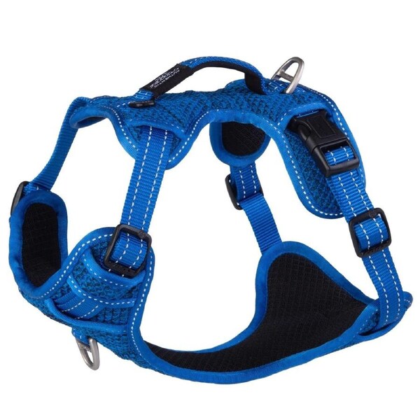 Rogz Explore Durable Nylon Dog Safety Harness Blue Medium