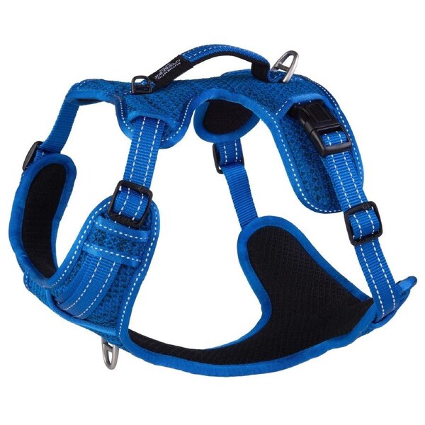 Rogz Explore Durable Nylon Dog Safety Harness Blue Large