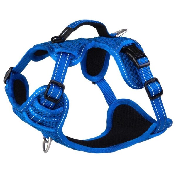 Rogz Explore Durable Nylon Dog Safety Harness Blue Small