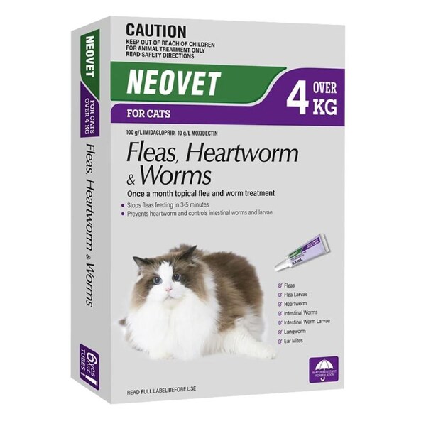 Neovet Spot-on Flea & Worms Treatment for Cats Over 4kg Purple 6 Pack