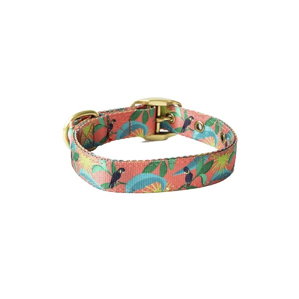 Anipal Clancy The Black Cockatoo Eco-Friendly Dog Collar Medium
