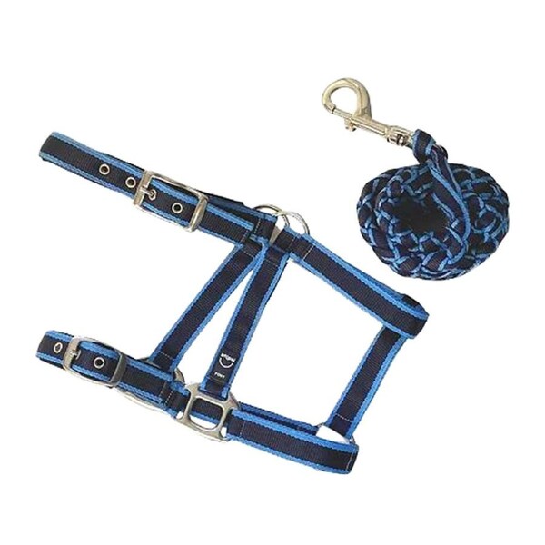 Anipal Pacific Ocean Recycled Comfort Halter & Lead Set XFull