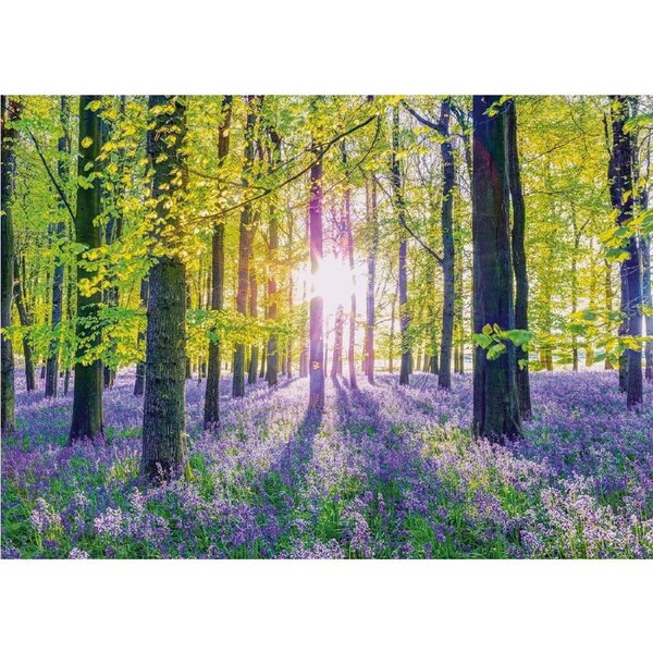 Schmidt - Tranquil Bluebell Woods Puzzle 1000pc