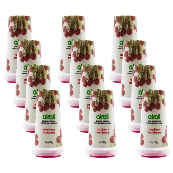 12x Airall Solid Home/Room Air Freshener Odour Eliminator 170G Raspberry Scent
