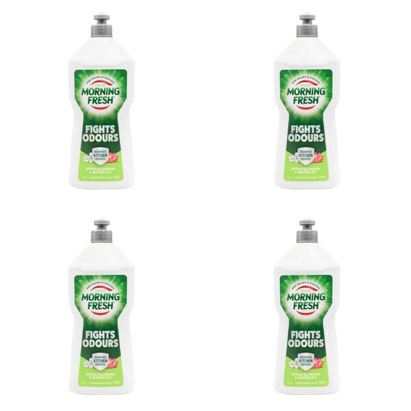 4x Morning Fresh Dishwashing Liquid Fights Odour 650ml Apple Blossom & Waterlily