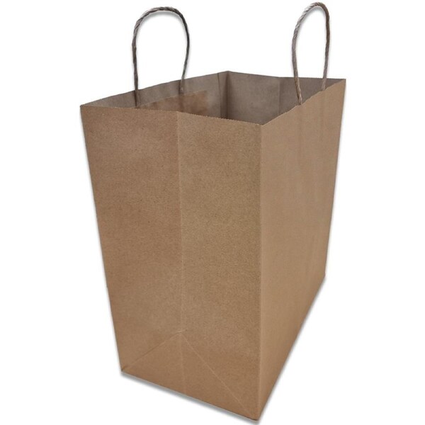 Bastion Paper Carry Bags Brown Twist Handle 3059(L) x 180(W) x 300(H) mm Carton of 250