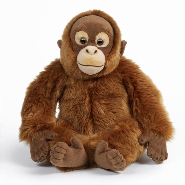 Living Nature - Orangutan