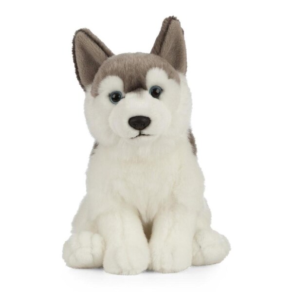 Living Nature - Husky