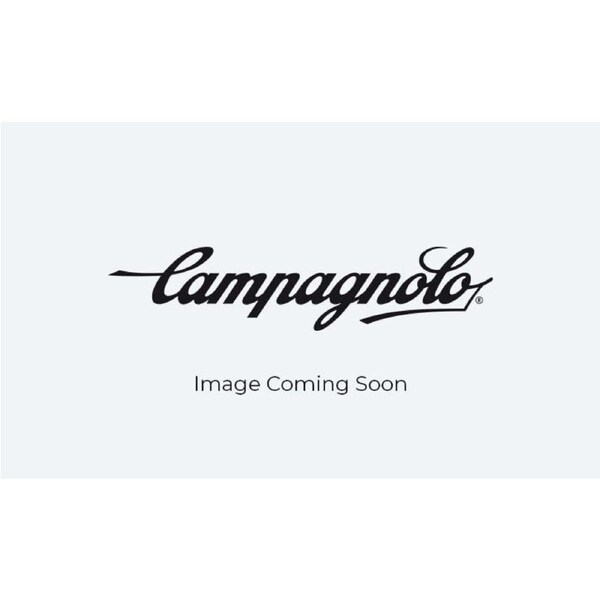 Campagnolo Rear Left Spoke For Bora 60 Db 247 Mm (4 Pc - Black Size 247mm