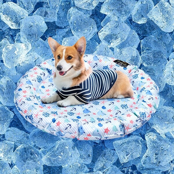 Petzly Pet Cooling Mat Dog Cat Bed Non-Toxic Sofa S Size Summer Pad Round 62CM