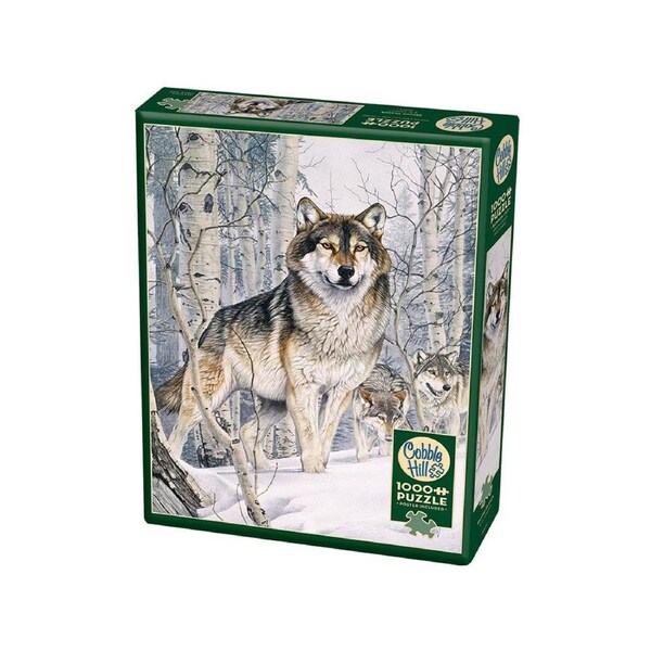 Cobble Hill Second Glance Jigsaw Puzzle incl Poster 1000 Pieces (COB40143)