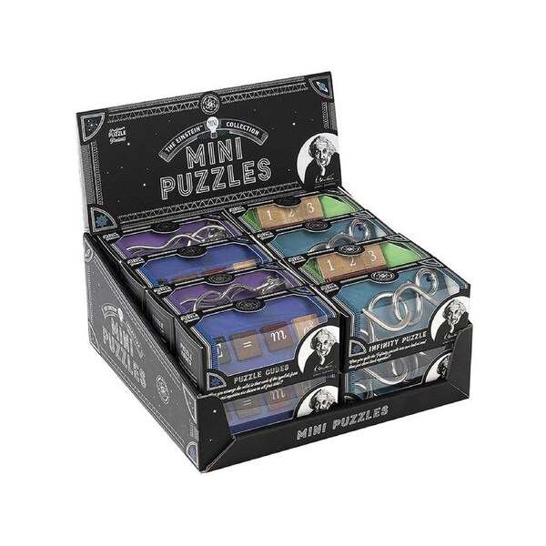 Professor Puzzle Einstein Mini Puzzle Display of 16 (PRO206163)