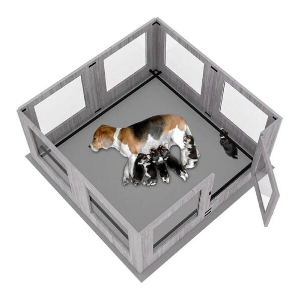 Fin Xl Safest Tempered Glass Dog Whelping Pen Box Shatter-Proof Playpen Exercise Box