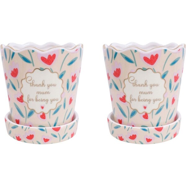 2x LVD Ceramic Planter Flower/Plant Pot Home/Garden Decor 13cm Thank You Mum