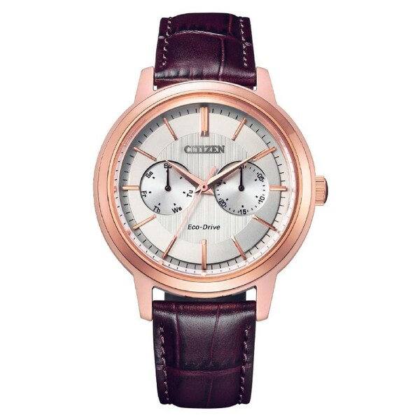 Citizen Eco-Drive Ring Solar Multi-Calendar Men's Watch (BU4032-11A)