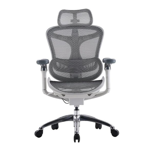Sihoo A3 DORO-C300 Pro Ergonomic Office Chair Grey