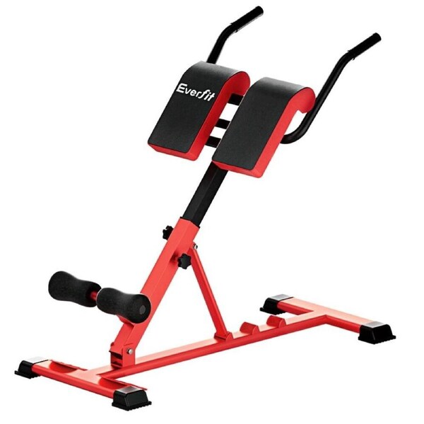 Roman Chair Back Extension Adjustable Weight Bench Fitness 107x45x55-91cm