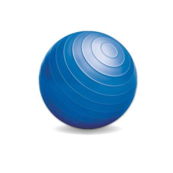 Exercise Gym Ball Pink Anti Slip Texture Balance Strength - 55cm 65cm 75cm 65cm Blue