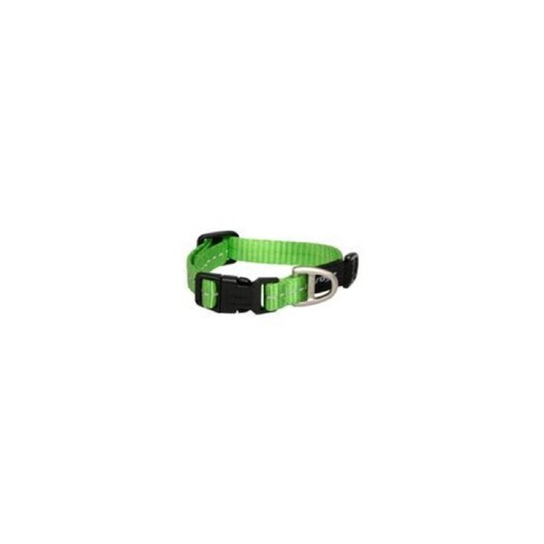 Rogz Lime X-Small 11mm Wide x 16cm to 22cm Classic Utility Collar for Dogs & Puppies
