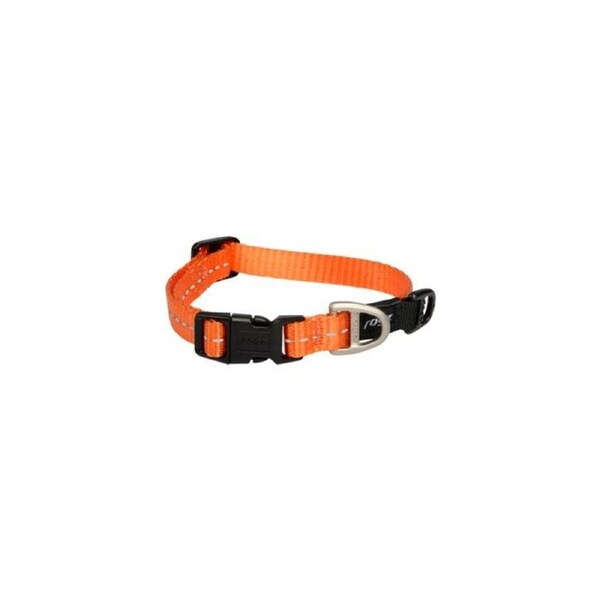 Rogz Orange Small 11mm Wide x 20cm to 31cm Classic Utility Collar for Dogs & Puppies