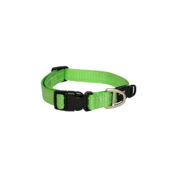 Rogz Lime Medium 16mm Wide x 26cm to 40cm Classic Utility Collar for Dogs & Puppies