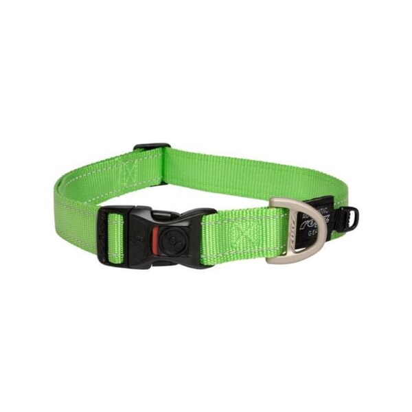 Rogz Lime X-Large 25mm Wide x 43cm to 70cm Classic Utility Collar for Dogs & Puppies