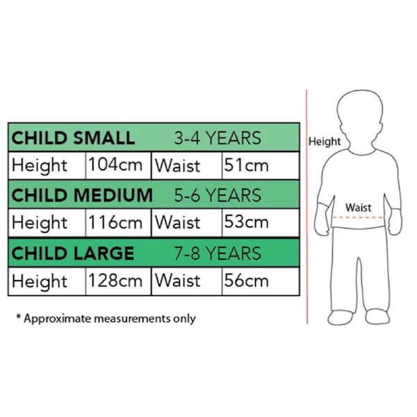 Disney Mary Poppins Deluxe Girls Character Dress Up Theme Costume S