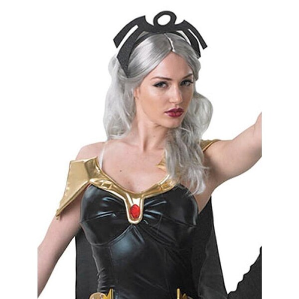 Marvel Storm Wolverine X-Men Secret Wishes Womens Fancy Dress Up Costume XS